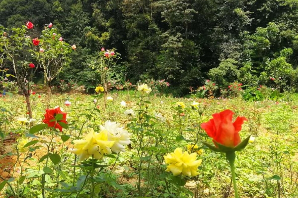 石门国家森林公园